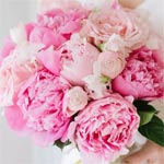 Floral Fragrance Family Image