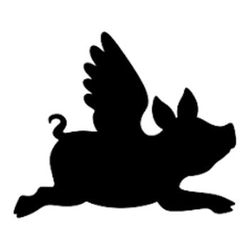 Member 295027 Profile Image