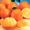 Mandarin Orange Note Image