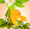 Orange Blossom Note Image