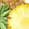 Pineapple Note Image