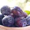 Plum Note Image